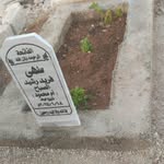 Mostafa Sabbah - @_kyysm - Instagram
