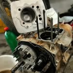 mostafa shah 005 - @mostafashah40 - Instagram