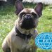 Alexandr  Motylev - Facebook