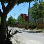 Mourad Issawi - @mourad.issawi - Instagram