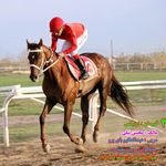 Mousa Mohammadi - @mousa.mohammadi88 - Instagram
