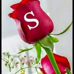 Mubarak Patel - Facebook