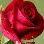 mudassar Ahmed - @mudassar.ahmed - Instagram