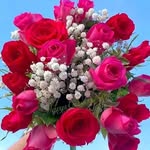 Muhammad Aadam - @muhammadaadam7799 - Instagram