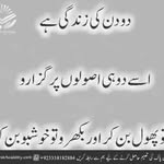 Muhammad Afzaal - @afzaal4549 - Instagram