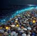 Muhammad Afzaal - Facebook