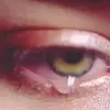 Muhammad Agha - @muhammad.agha266 - TikTok