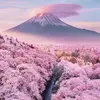 Muhammad Agha - @muhammad.agha93 - TikTok