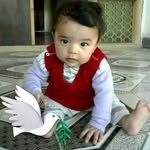 Muhammad Agha Ahmadi - @muhammadaghaahmadi - Instagram