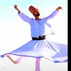 muhammad ameen - @muhammad.ameen1933 - TikTok