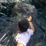 Muhammad Aminuddin - @aminuddinmuhammadaminuddin - Instagram