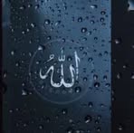 Muhammad Anwer - Facebook