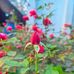 Muhammad Ebrahim - Facebook