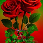 Muhammad Halim - Facebook