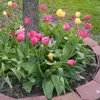 Muhammad Haque - @muhammad.haque0 - TikTok