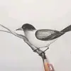 muhammadhaque - @muhammadhaque07 - TikTok