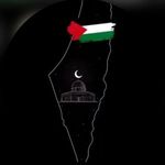 Muhammad Hasham - @muhammadhasham_ - Instagram