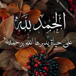 محمد إسماعيل الخطيب - @muhammad_.khatib - Instagram