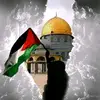 Muhammadmahmud - @muhammadmahmudsalieh - TikTok