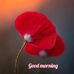 Muhammad Mushtaq - Facebook