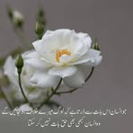 Muhammad Rahim Muhammad Rahim - Facebook