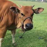 Andi Muhammad Yaqub Razak - @andimhmmdqub_ - Instagram