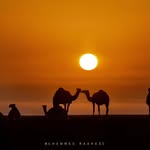 Muhammed Rasheed - @rasheed.prime - Instagram
