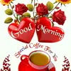 Muhammed Usman - @muhammed.usman563 - TikTok