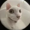 Múi Rì Viu - @mui.cam - TikTok