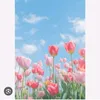muiduong88 - @muiduong88 - TikTok