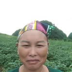 Đặng Mùi Liều - Facebook