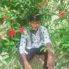 Mujahid Islam - @mujahidislam32 - TikTok