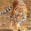 Mujeeb Mohammadmujee - @mujeebmohammadmuj - TikTok