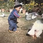 Mujtaba Sheikh - @mujtabasheikhh - Instagram