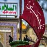 Sheikh MuJTAba - @mujtabasheikh990 - Instagram