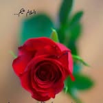 Mukhtiar Shaikh - @mukhtiar.shaikh.3572 - Instagram