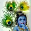 Mukul Dave - @mukuldave8 - TikTok