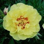 Mumtaz Awan - @mumtazawan_ - Instagram