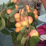 Mumtaz Awan - @mumtaz272 - Instagram