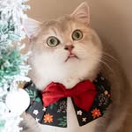 貪貪手作領巾munchee.handmade - @munchee_handmade - Instagram