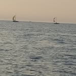 Muna Abdallah - @munaabdallah5 - Instagram