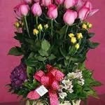 Muna Abdallah - @muna6470 - Instagram