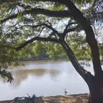 Muna Abdallah - @muna.abdallah.90 - Instagram
