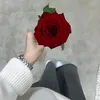 Muna Abdallah - @muna.abdallah84 - TikTok