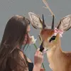 munabashir🧚🏻‍♀️ - @muna.bashir20 - TikTok