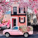 Muna Mahmud - @munihayati - Instagram