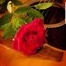 Muna Mahmud - Facebook