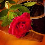 Muna Mahmud - @munamahmud009.9 - Instagram