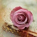 Muna Rasheed - @munab77 - Instagram