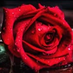 Munia Khan - @asikul.all.5 - Instagram